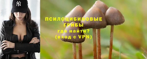 PSILOCYBIN Нефтекумск