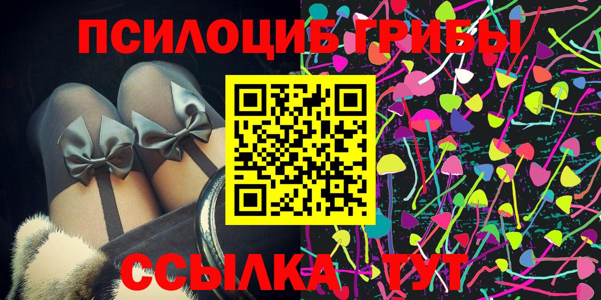 Псилоцибиновые грибы Psilocybe  купить наркоту  Березники 